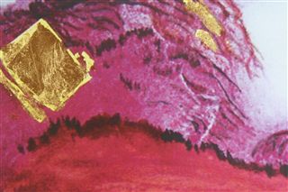 金の眠る山 Rich Vein of Gold